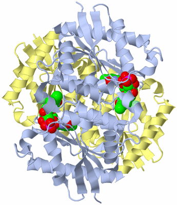 Image Biological Unit 1