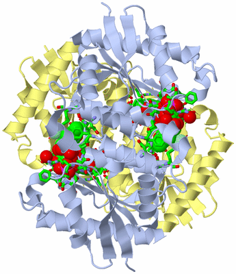 Image Biol. Unit 1 - sites