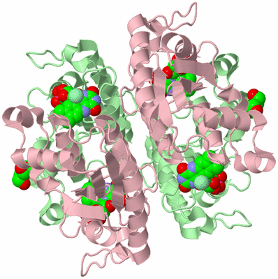 Image Biological Unit 3