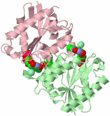 Image Biological Unit 4