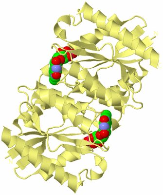 Image Biological Unit 5