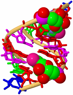 Image Biological Unit 4