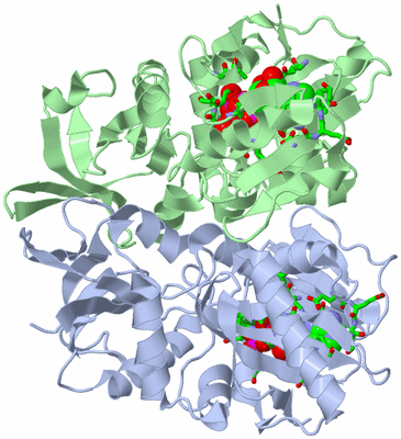 Image Biol. Unit 1 - sites