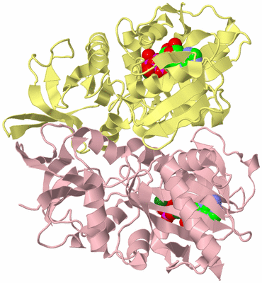 Image Biological Unit 2