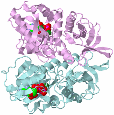 Image Biological Unit 3