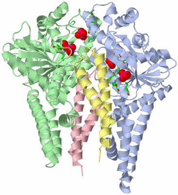 Image Biol. Unit 1 - sites