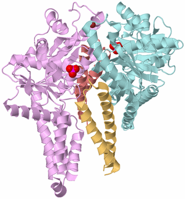 Image Biological Unit 2