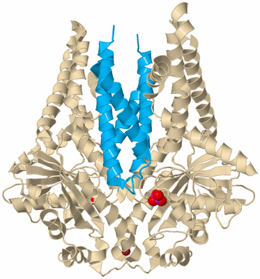 Image Biological Unit 3