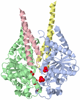 Image Asym./Biol. Unit