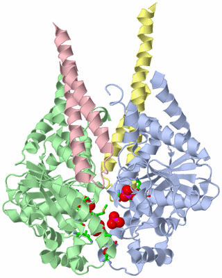 Image Asym./Biol. Unit - sites