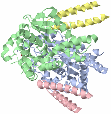 Image Biological Unit 1