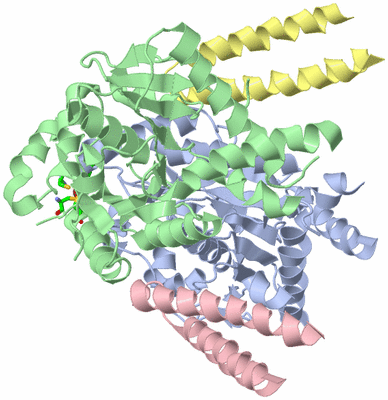 Image Biol. Unit 1 - sites