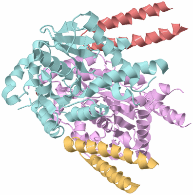 Image Biological Unit 2