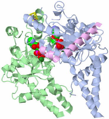 Image Biological Unit 1