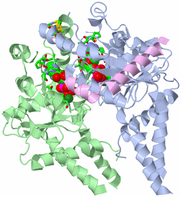 Image Biol. Unit 1 - sites