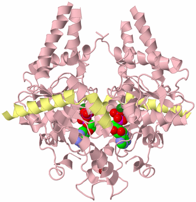 Image Biological Unit 2