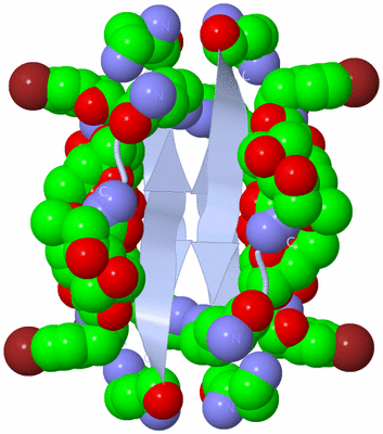 Image Biological Unit 2