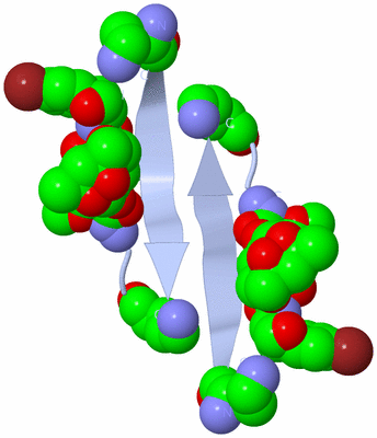 Image Biological Unit 3