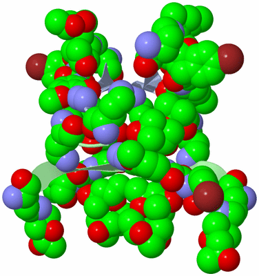 Image Biological Unit 4