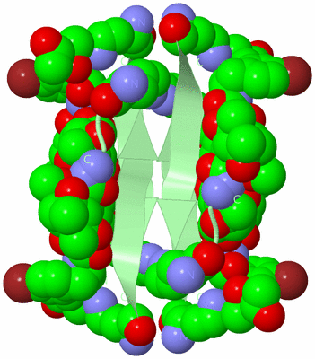 Image Biological Unit 5