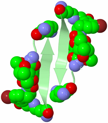 Image Biological Unit 6