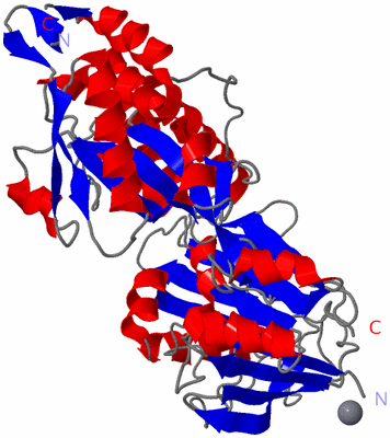 Image Asym./Biol. Unit