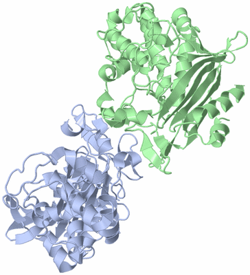 Image Asym./Biol. Unit