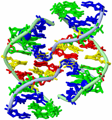 Image Biological Unit 1