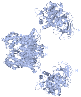 Image Biological Unit 1