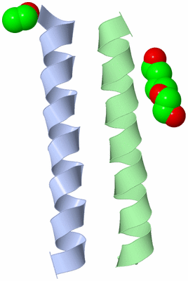 Image Asymmetric Unit