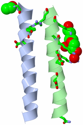 Image Asym. Unit - sites