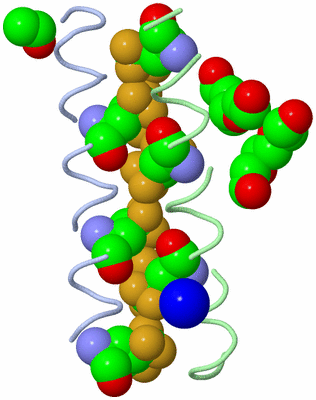 Image Asymmetric Unit