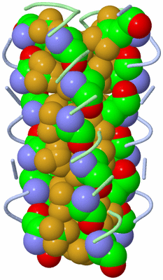 Image Biological Unit 2