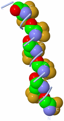 Image Biological Unit 3