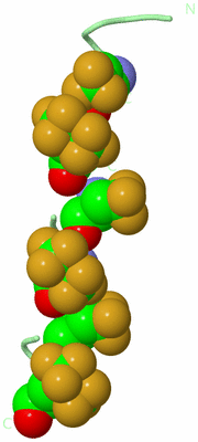 Image Biological Unit 4