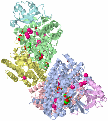 Image Asym./Biol. Unit