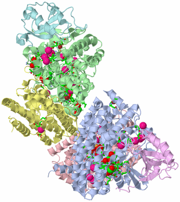 Image Asym./Biol. Unit - sites