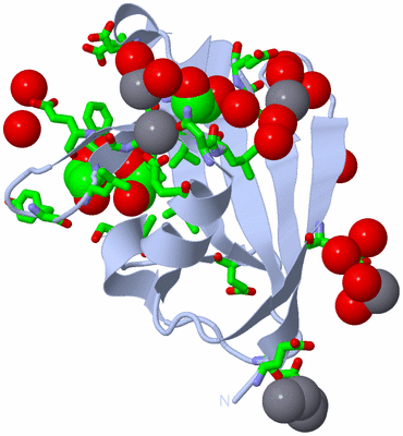 Image Biol. Unit 1 - sites