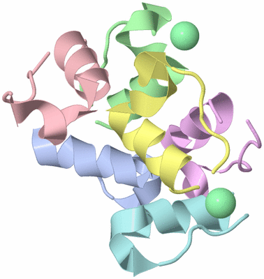 Image Asym./Biol. Unit