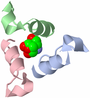 Image Asymmetric Unit