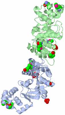 Image Biological Unit 1