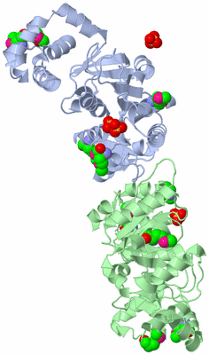 Image Biological Unit 3