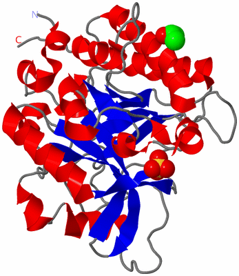 Image Asym./Biol. Unit