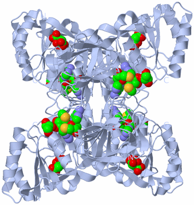 Image Biological Unit 1