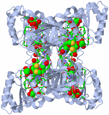 Image Biol. Unit 1 - sites