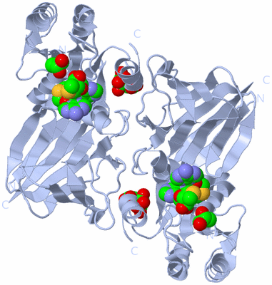 Image Biological Unit 2