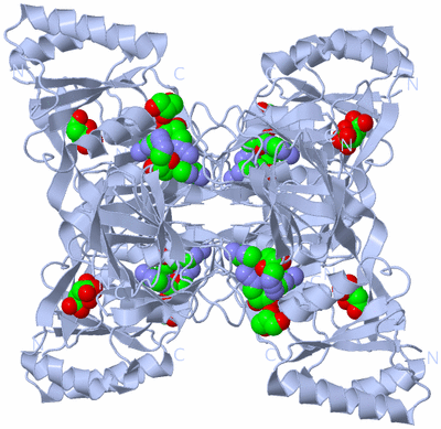 Image Biological Unit 1