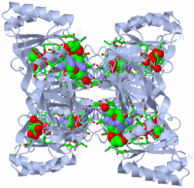 Image Biol. Unit 1 - sites