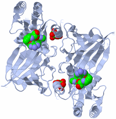 Image Biological Unit 2