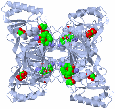 Image Biological Unit 1